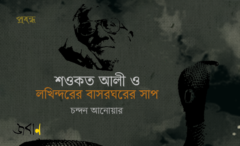 শওকত আলী ও লখিন্দরের বাসরঘরের সাপ